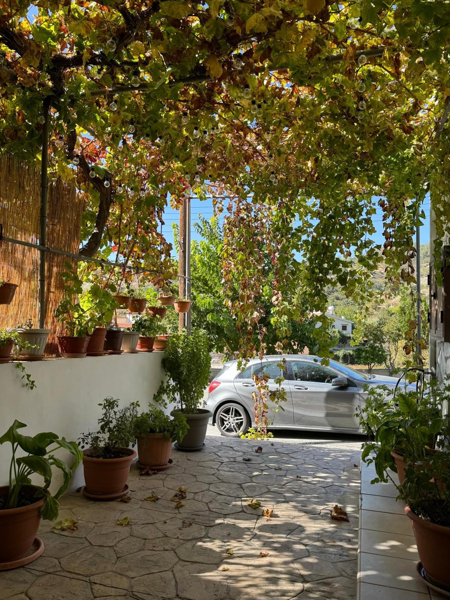 Στου Στεφανή Vila Agros Exterior foto